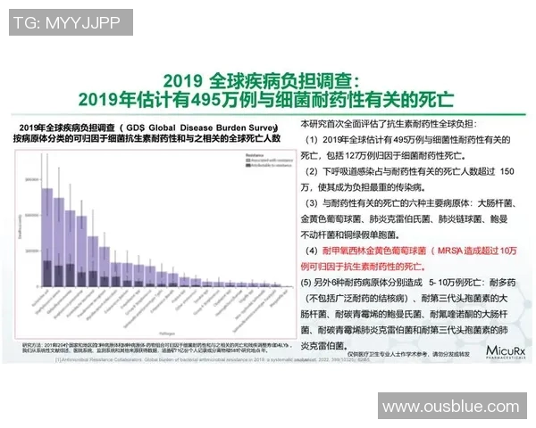 南京乒乓球队近期状态分析与表现评估的全面研究报告