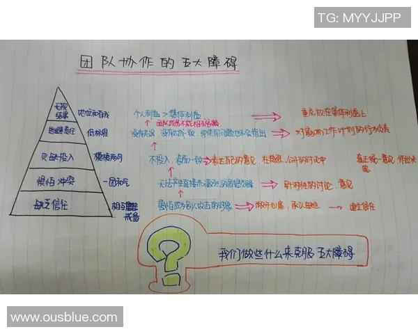 杭州排球队的默契配合与战术探讨聚焦排球的团队协作之道 杭州排球队的默契配合与战术探讨聚焦排球的团队协作之道