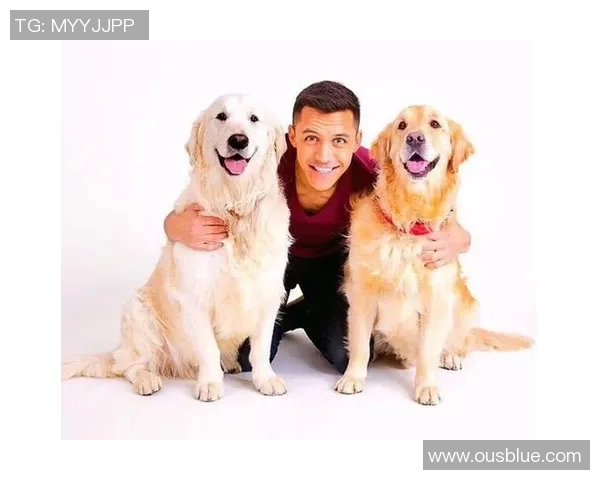 梁朝伟与足球明星之间的友谊与合作探索