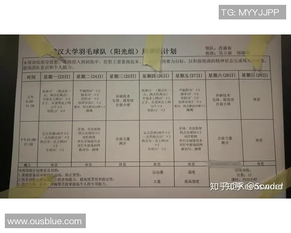 羽毛球战术解析：成都羽毛球队防反策略的深度剖析与实践探讨