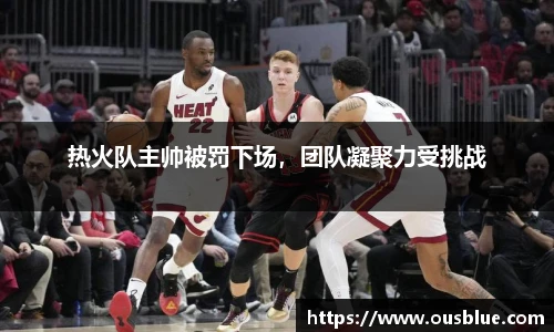 热火队主帅被罚下场，团队凝聚力受挑战